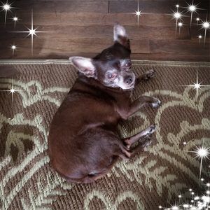 Meet your Posher, Kris